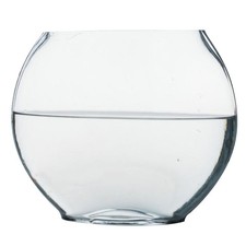 Large Fish Bowl Tank
