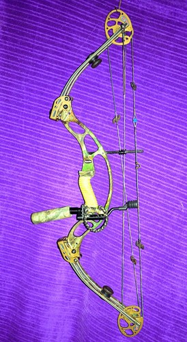 Hoyt xt2000 supertec - xt2000, bow