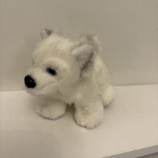 Lapland White Husky Wolf Dog