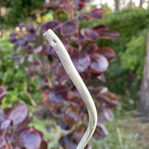Tomato spiral climbing - spiral, plant