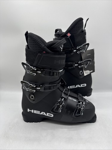 Head vector 110 ski - vector,