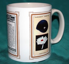 FAMOUS CRICKET COLOURS-CAPS &