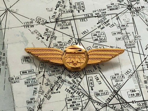 Aviation wings crew - aviation,