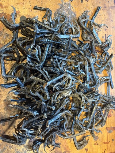 Taxidermy joblot 130 dried - taxidermy,
