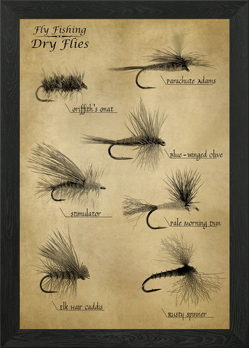 Fly fishing dry flies - dry,
