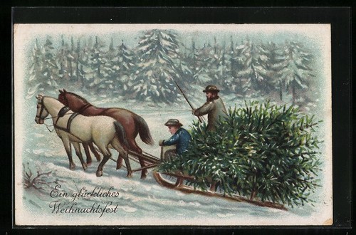 Horse drawn sleigh - horse-drawn,
