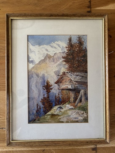 Beautiful framed watercolour - beautiful,