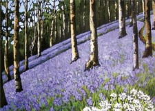 Bluebell Wood - Fine Art Blank