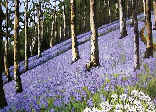 Bluebell wood fine art - wood,