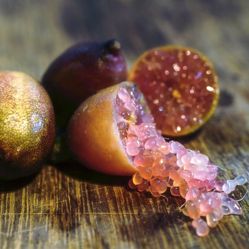 Lime caviar half - lime, half-hardy