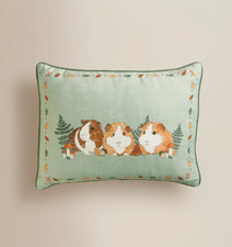 George Asda Guinea Pig Print