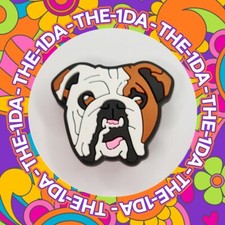 SUPER CUTE - British Bulldog