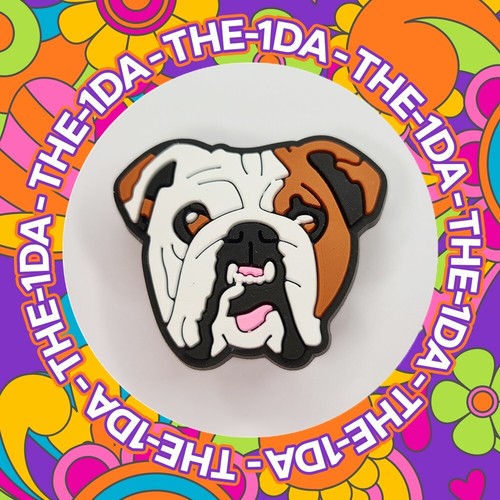 Super cute british bulldog - cute,