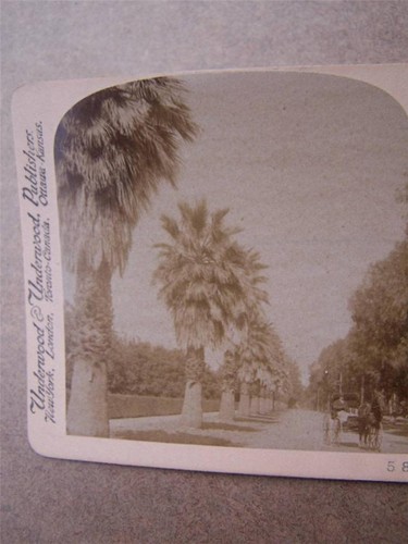 Stereo view stereoscopic - stereo,