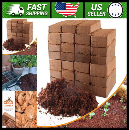 Coco coir bricks - coir,