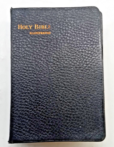 Holy bible illustrated - (illustrated, and