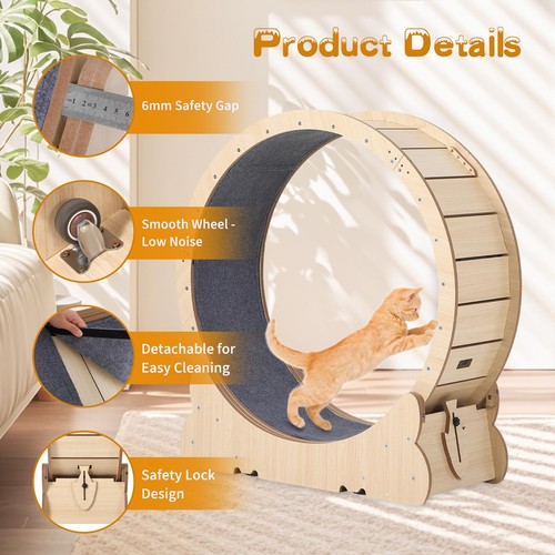 Cat exercise wheel - exercise, cats