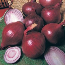 Vegetable seeds 100 - , 100+