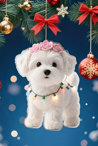 Acrylic christmas hanging - 2d,
