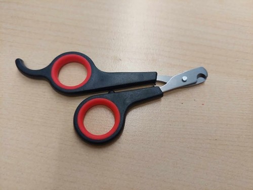 Tortoise nail clippers all - nail, clippers.