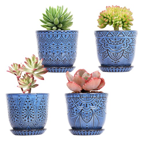 Succulent pots inch - succulent, small