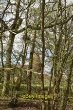 Photo 6x4 Forsham Farm Oast