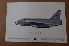 Aviation Art -  EE Lightning