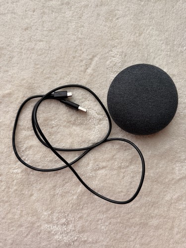 Google home mini 1st - home,