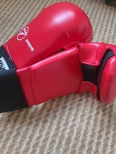 Kwon Karate Mitts XL Training