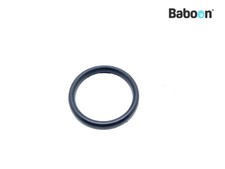 Vacuum Pump KTM 690 Duke