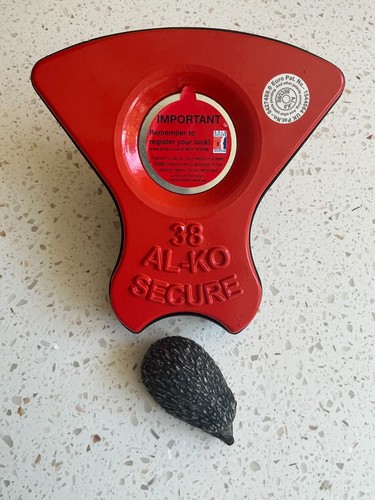 Alko wheel lock insert lozenge - alko, insert/lozenge