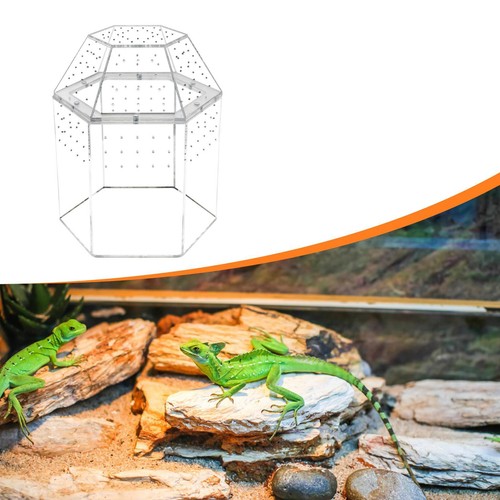Reptile terrarium accessories - reptile,