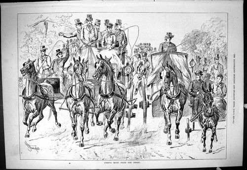 Old antique print 1878 horses - print,