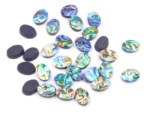 10x14 natural abalone shell - mm,