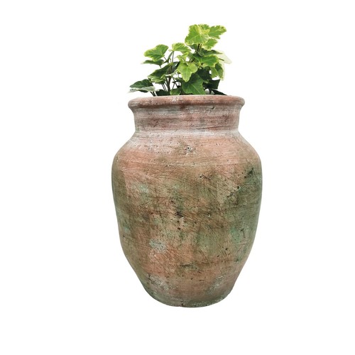 Tall terracotta plant - tall,