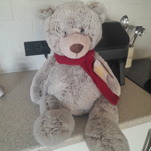 Playful pals grey plush teddy - playful,