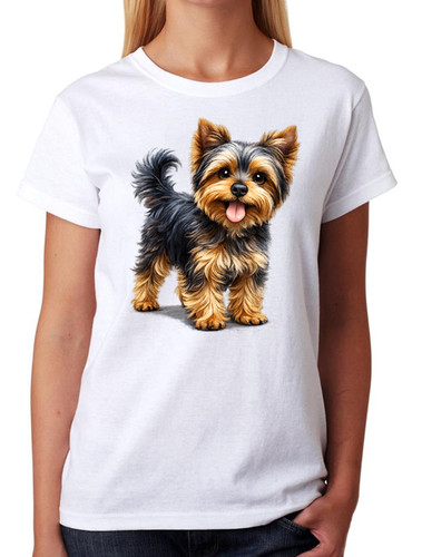 Cute yorkshire terrier dog - cute,