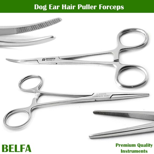 Veterinary dog ear hair - ear,