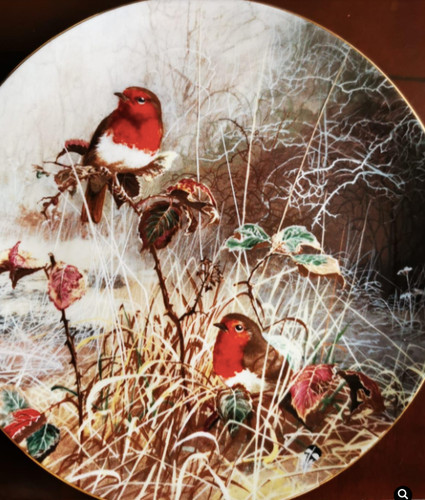 Coalport bone china robin - bone, china-