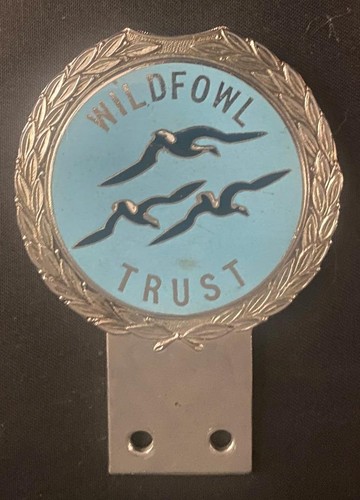 Wildfowl trust gaunt - trust,