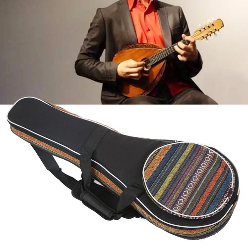 Portable mandolin bag - portable, easy