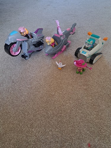 Paw patrol skye bike - bike, and