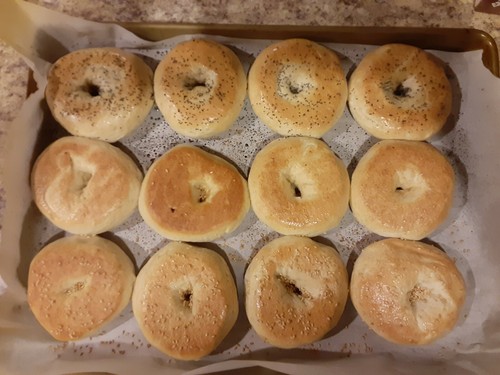 Homemade fresh bagels dozen - homemade, 1