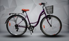 Women speed city bike - speed,