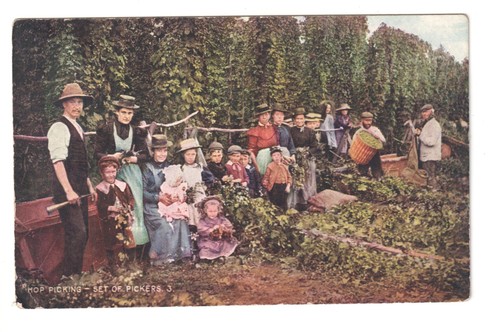 Hop picking set pickers - set, of