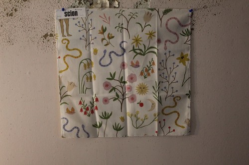 Kravet scion garden - garden, of