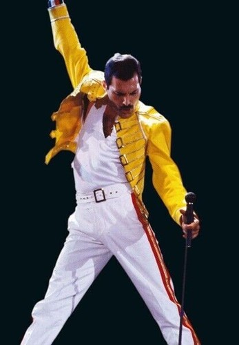 Freddie mercury unsigned x - mercury,