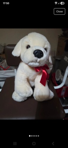Labrador teddy bear - labrador,