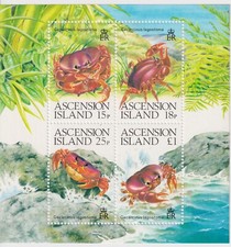 Ascension 1989 land crabs - ascension,