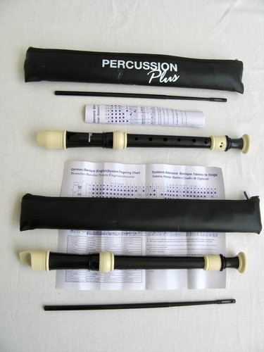 Descant soprano recorder with - recorder,